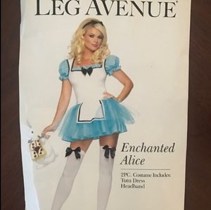 Alice In Wonderland Costume